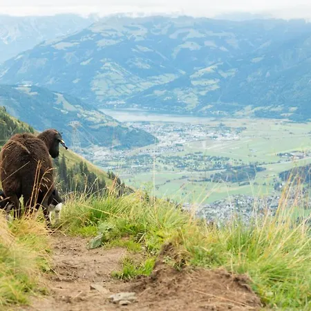 Biggest Helen - 5 Bedrooms, 7 Bathrooms, Air Condition Prázdninový dům Kaprun