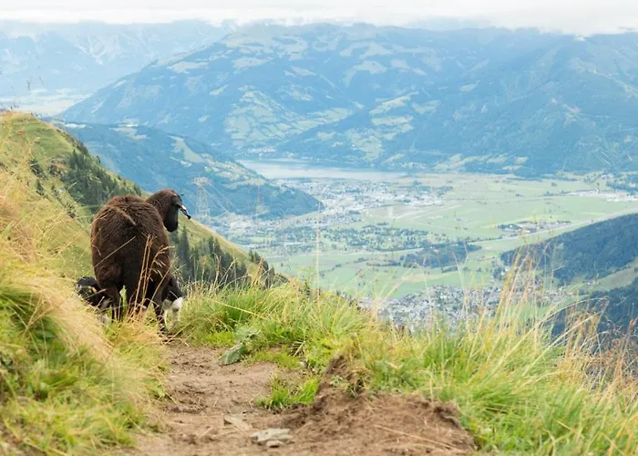 Biggest Helen - 5 Bedrooms, 7 Bathrooms, Air Condition Holiday home Kaprun